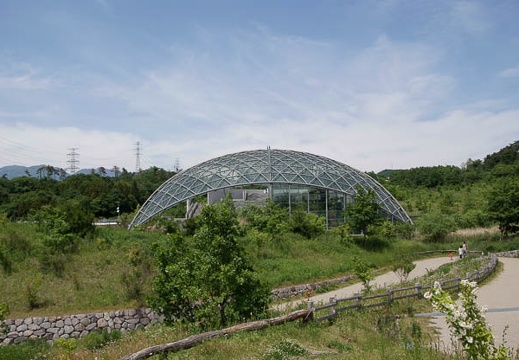 200905231250-DSC03945.jpg