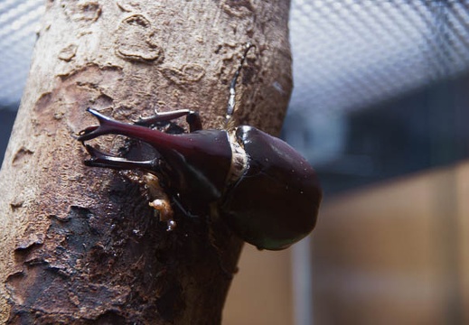 200905231300-DSC03960.jpg
