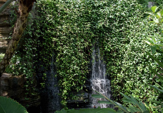 200905231306-DSC03972.jpg
