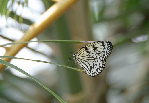 200905231307-DSC03979.jpg