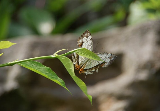 200905231310-DSC03991.jpg