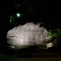 200905232017-DSC04371.jpg
