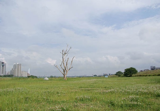 200905241531-DSC04480.jpg