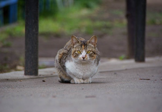 200905241621-DSC04548.jpg