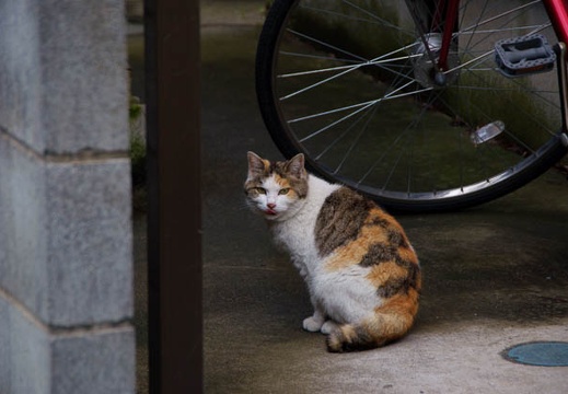 200905241627-DSC04555.jpg