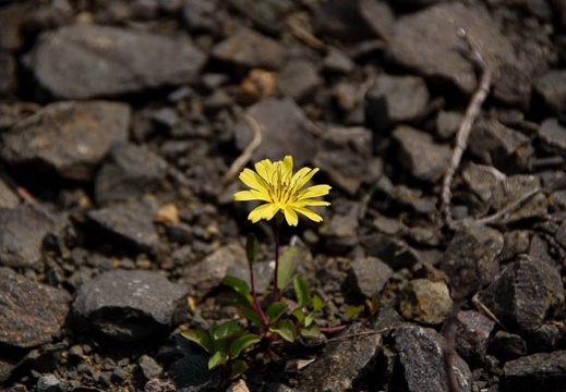 200905260916-DSC04887.jpg
