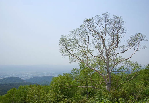 200905260922-DSC04901.jpg