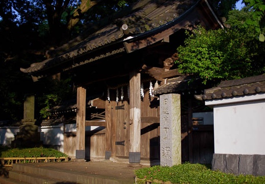 200906020532-DSC05913.jpg