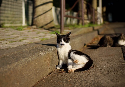 200906020612-DSC06024.jpg