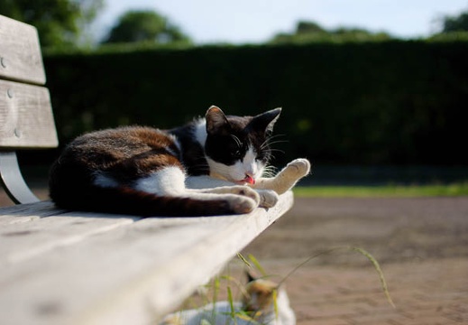 200906020645-DSC06096.jpg