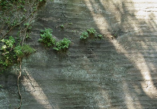 200906071417-SDIM0418.jpg