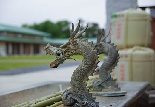 200906141239-DSC06555.jpg