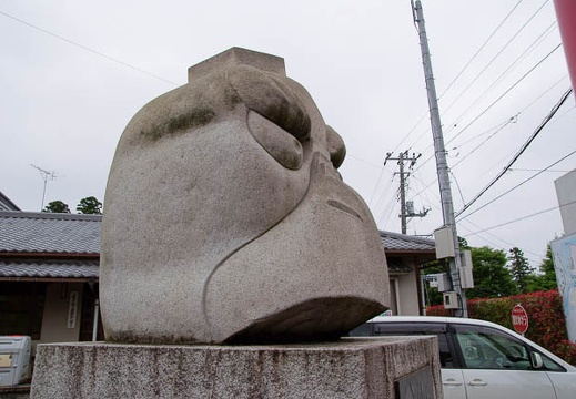 200906141328-DSC06565.jpg