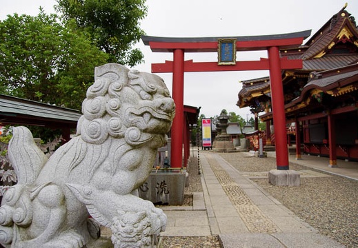 200906141329-DSC06570.jpg