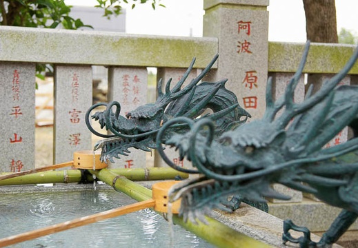 200906141331-DSC06576.jpg