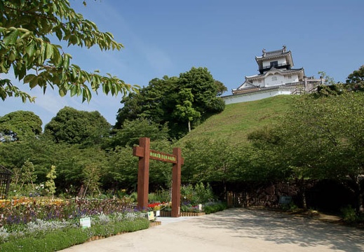 200906200735-DSC07213.jpg