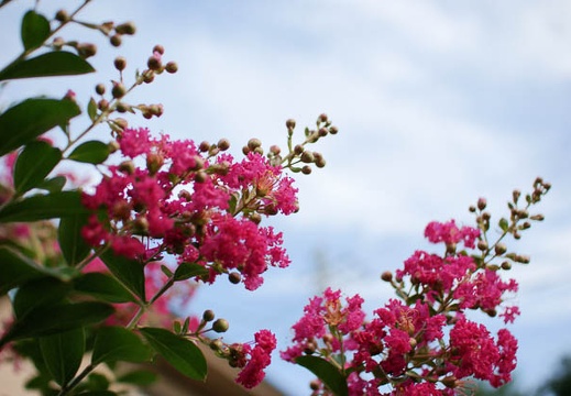 200906231630-DSC07920.jpg