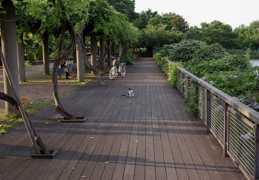 200906231738-DSC08028.jpg
