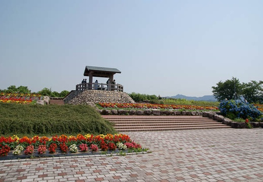 200906270942-DSC08196.jpg