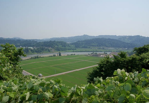 200906270944-DSC08200.jpg