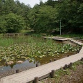 200906271247-DSC08328.jpg