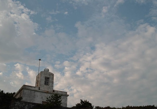 200907041743-SDIM1256.jpg