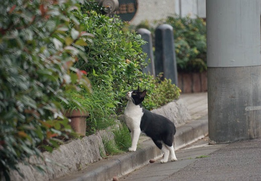 200907051316-DSC08993.jpg