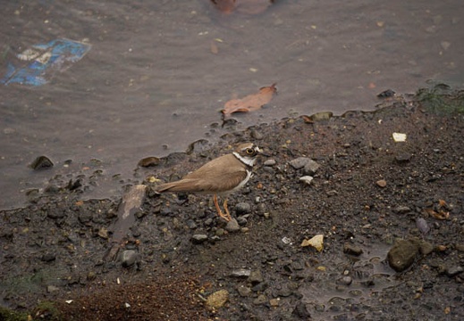 200907100941-DSC09258.jpg