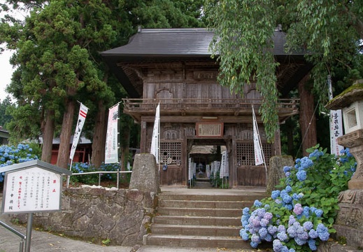 200907110809-DSC09429.jpg