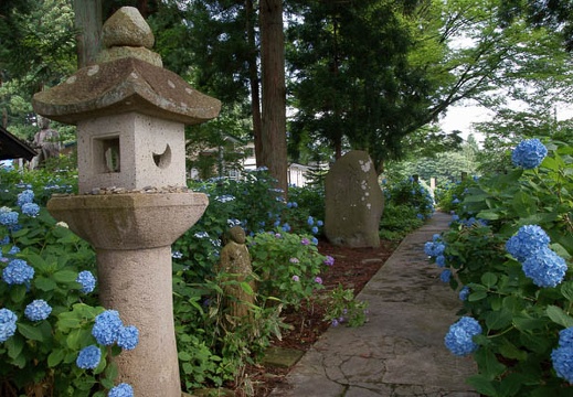 200907110811-DSC09437.jpg