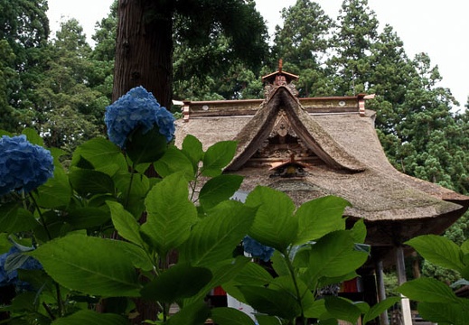 200907110814-DSC09449.jpg
