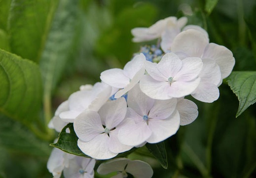 200907110820-DSC09469.jpg