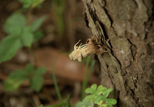 200907130606-DSC00155.jpg