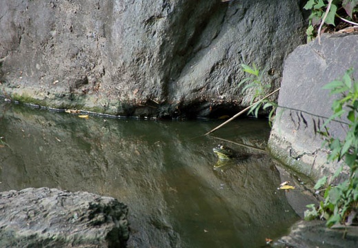 200907130720-DSC00257.jpg
