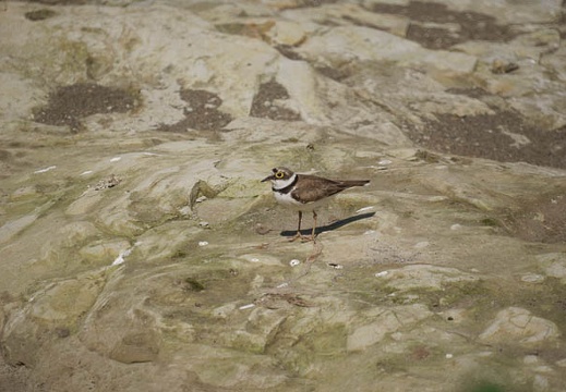 200907141410-DSC00334.jpg