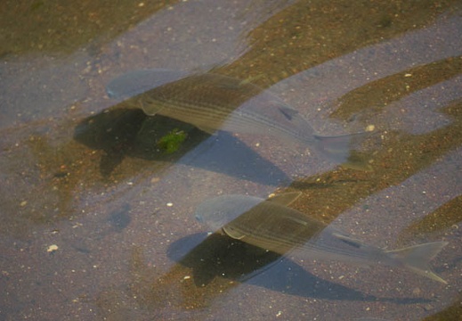 200907141430-DSC00377.jpg