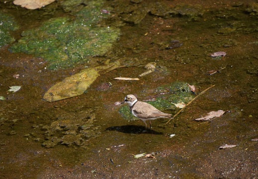 200907141432-DSC00379.jpg