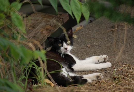 200907141600-DSC00507.jpg