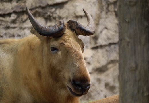 200907191212-DSC01048.jpg