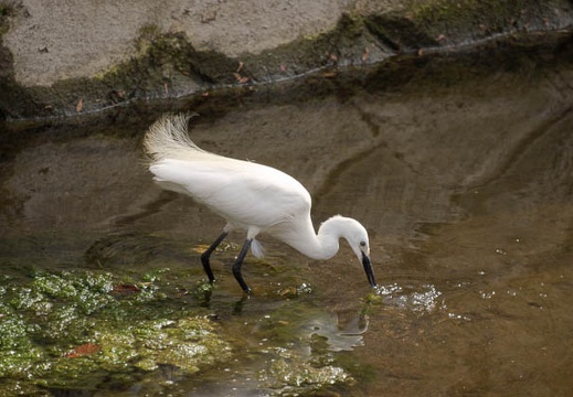 200907201507-DSC01502.jpg
