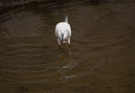 200907201510-DSC01525.jpg