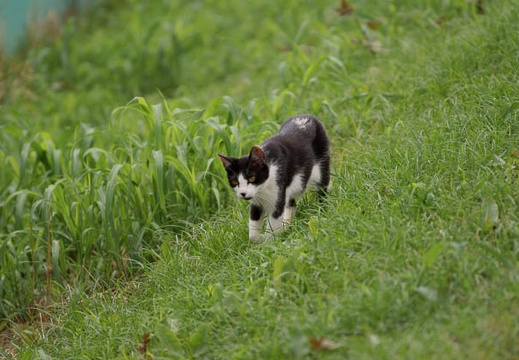 200907251127-DSC01676.jpg