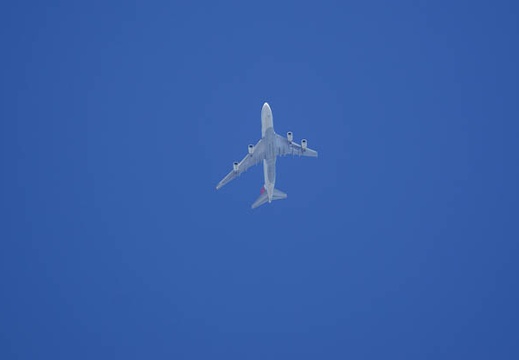 200907261556-DSC02371.jpg