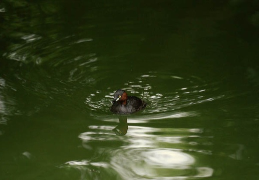 200908120748-DSC03797.jpg