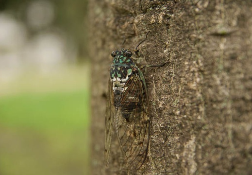200908120826-DSC03848.jpg