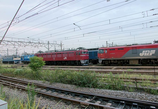 200908221810-DSC00329.jpg