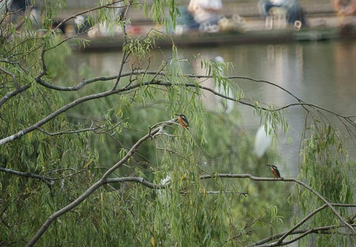 200908230640-DSC00422.jpg
