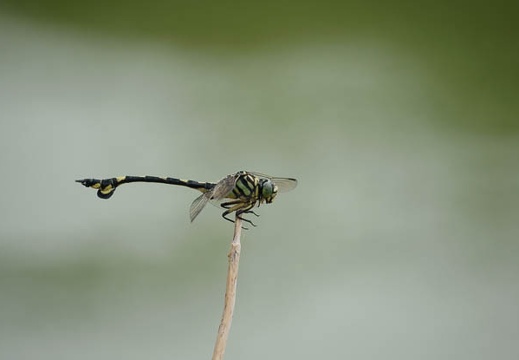 200908230844-DSC00676.jpg