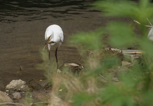 200908230919-DSC00701.jpg