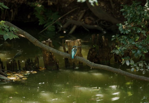 200908281241-DSC01204.jpg